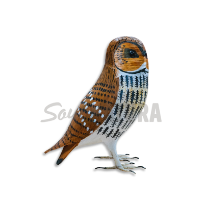 BÚHO-LECHUZA CAMPESTRE Pájaro de PITA - Imagen 2