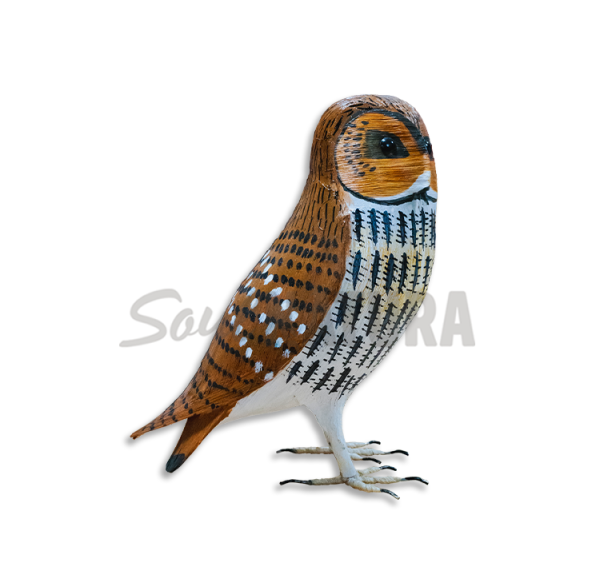 BÚHO-LECHUZA CAMPESTRE Pájaro de PITA - Imagen 2