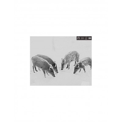 ▷ LYNX PRO LE10S MONOCULAR TÉRMICO HIKMICRO | Soul Natura - Imagen 6