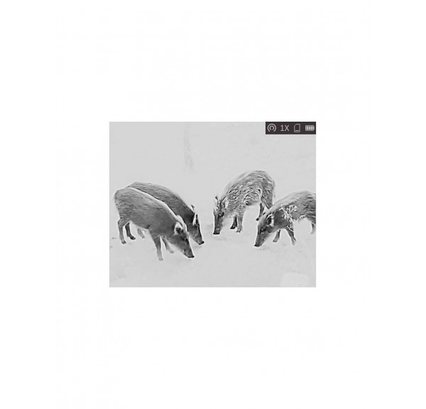 ▷ LYNX PRO LE10S MONOCULAR TÉRMICO HIKMICRO | Soul Natura - Imagen 6