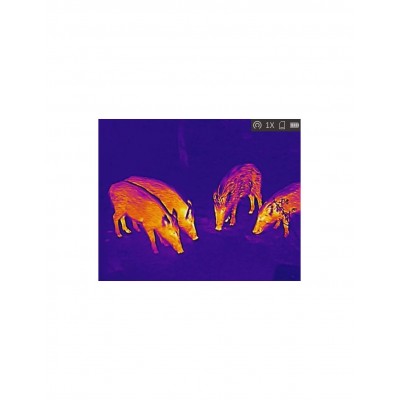 ▷ LYNX PRO LE10S MONOCULAR TÉRMICO HIKMICRO | Soul Natura - Imagen 7