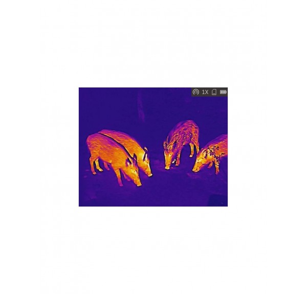 ▷ LYNX PRO LE10S MONOCULAR TÉRMICO HIKMICRO | Soul Natura - Imagen 7