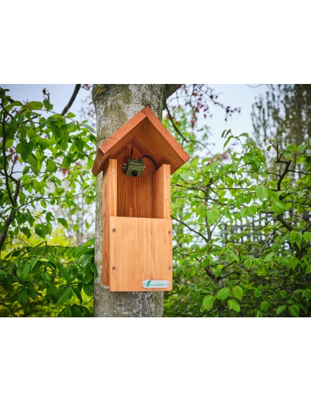 BIRD BOX CAMARA GREEN FEATHERS - Imagen 2