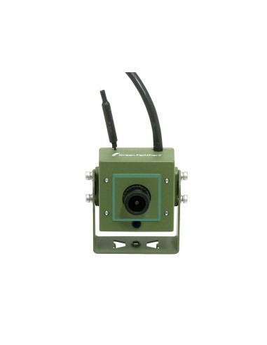 BIRD BOX CAMARA GREEN FEATHERS - Imagen 5