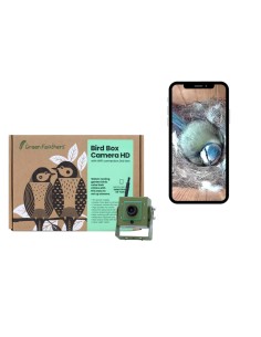 BIRD BOX CAMARA GREEN FEATHERS - Imagen 1