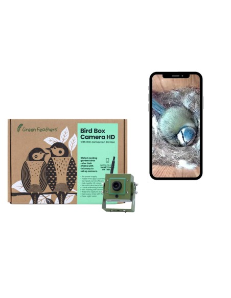 BIRD BOX CAMARA GREEN FEATHERS - Imagen 6