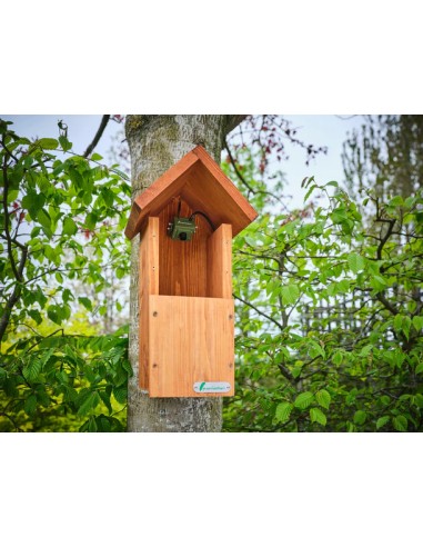 ▷ BIRD BOX HD CAMARA PACK COMPLETO GREEN FEATHERS| Soul Natura - Imagen 3