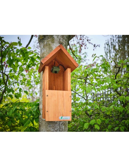 ▷ BIRD BOX HD CAMARA PACK COMPLETO GREEN FEATHERS| Soul Natura - Imagen 3