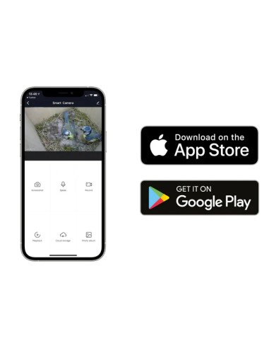 ▷ BIRD BOX HD CAMARA PACK COMPLETO GREEN FEATHERS| Soul Natura - Imagen 4