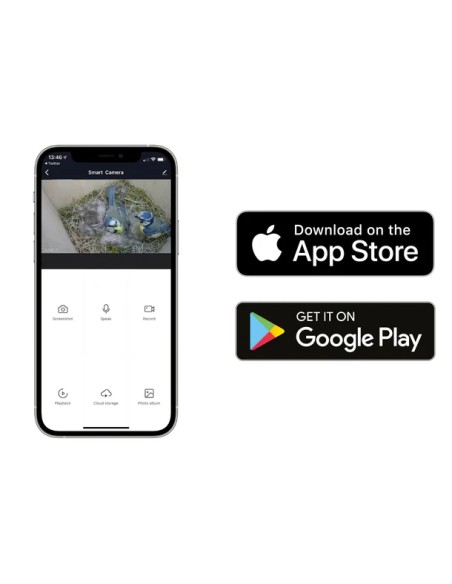 ▷ BIRD BOX HD CAMARA PACK COMPLETO GREEN FEATHERS| Soul Natura - Imagen 4