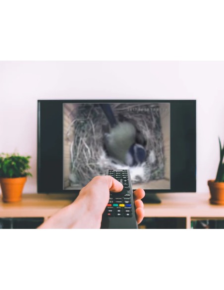 ▷ BIRD BOX CAMARA POR CABLE GREEN FEATHERS | Soul Natura - Imagen 1