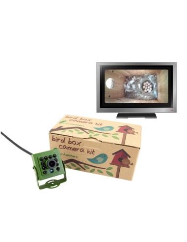 ▷ BIRD BOX CAMARA POR CABLE GREEN FEATHERS | Soul Natura - Imagen 2
