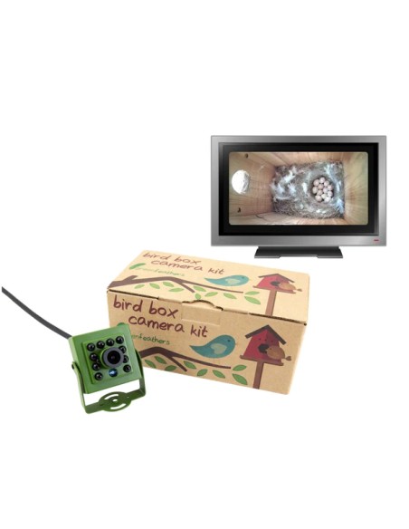 ▷ BIRD BOX CAMARA POR CABLE GREEN FEATHERS | Soul Natura - Imagen 2