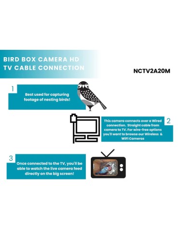 ▷ BIRD BOX CAMARA POR CABLE GREEN FEATHERS | Soul Natura - Imagen 3