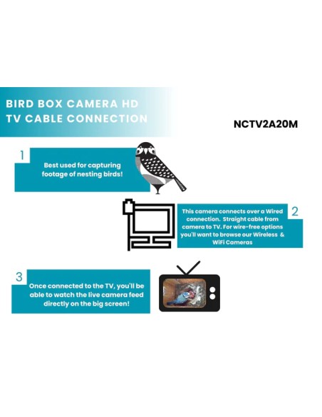 ▷ BIRD BOX CAMARA POR CABLE GREEN FEATHERS | Soul Natura - Imagen 3