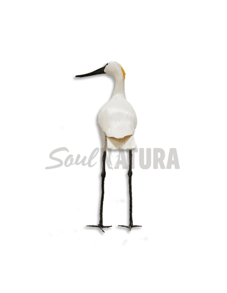 ▷ ESPÁTULA COMÚN MORITO (Platalea leucorodia) | Soul Natura - Imagen 2