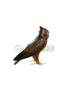 ▷ BÚHO REAL (PÁJARO DE PITA)| Soul Natura - Imagen 2