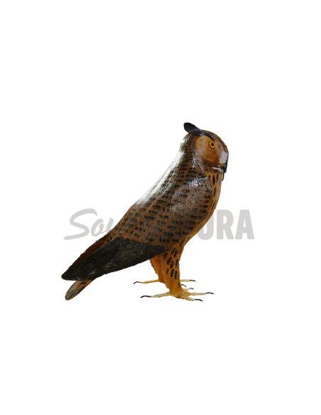 ▷ BÚHO REAL (PÁJARO DE PITA)| Soul Natura - Imagen 1