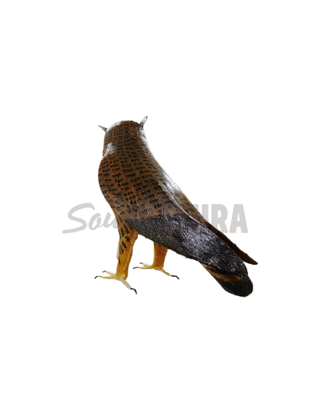 ▷ BÚHO REAL (PÁJARO DE PITA)| Soul Natura - Imagen 2