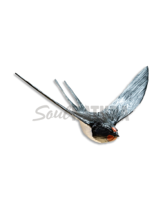 GOLONDRINA COMÚN EN VUELO (Hirundo rustica) PÁJARO DE PITA - Imagen 1