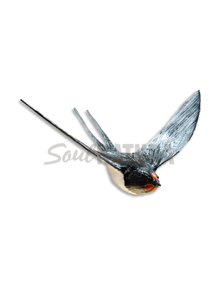 GOLONDRINA COMÚN EN VUELO (Hirundo rustica) PÁJARO DE PITA - Imagen 2