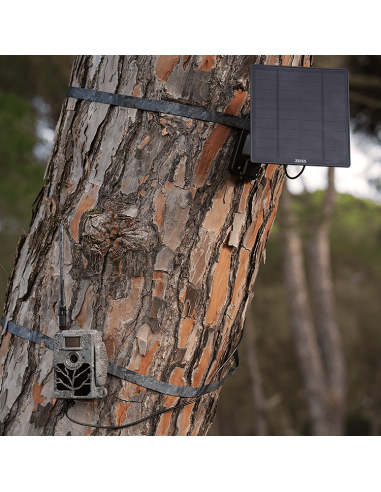 ▷PANEL SOLAR SECACAM ZEISS| Soul Natura - Imagen 5