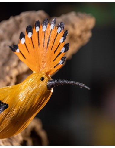 ▷ ABUBILLA (PÁJARO DE PITA) | Soul Natura - Imagen 3