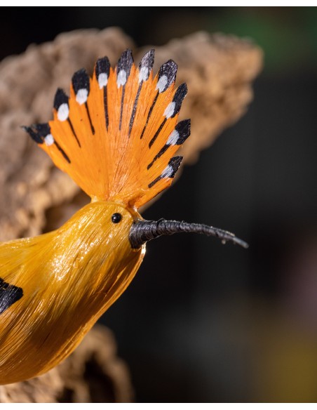 ▷ ABUBILLA (PÁJARO DE PITA) | Soul Natura - Imagen 3