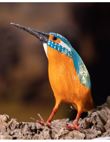 ▷ MARTÍN PESCADOR (Alcedo atthis) Pájaro de PITA | Soul Natura - Imagen 4