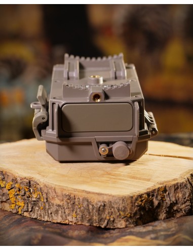 ▷ BUSHNELL CORE 24MP NO GLOW | Soul Natura - Imagen 6