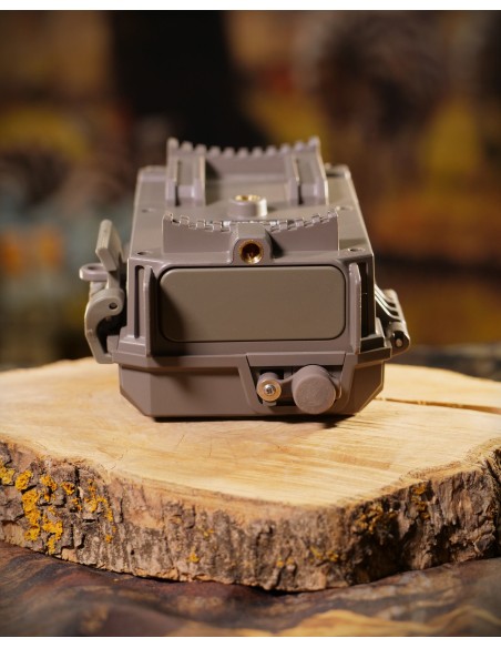 ▷ BUSHNELL CORE 24MP NO GLOW | Soul Natura - Imagen 6