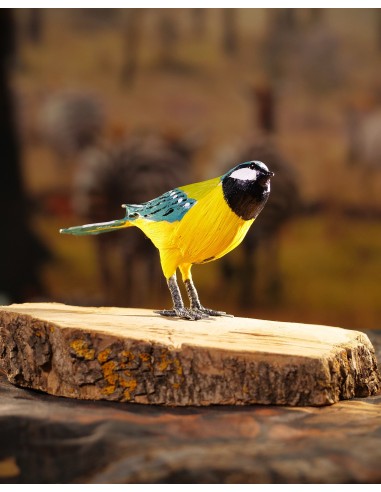 ▷ CARBONERO (PÁJARO DE PITA) | Soul Natura - Imagen 2