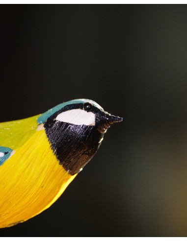 ▷ CARBONERO (PÁJARO DE PITA) | Soul Natura - Imagen 3