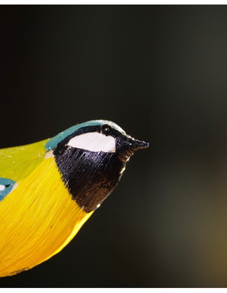 ▷ CARBONERO (PÁJARO DE PITA) | Soul Natura - Imagen 3