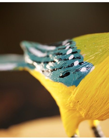 ▷ CARBONERO (PÁJARO DE PITA) | Soul Natura - Imagen 5