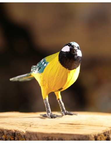 ▷ CARBONERO (PÁJARO DE PITA) | Soul Natura - Imagen 4