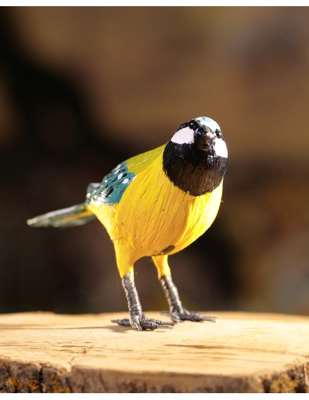 ▷ CARBONERO (PÁJARO DE PITA) | Soul Natura - Imagen 4