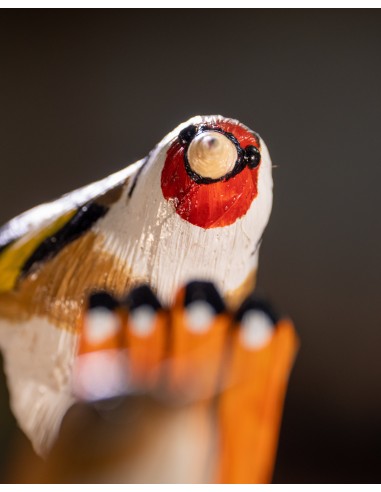 ▷ JILGUERO (PÁJARO DE PITA) | Soul Natura - Imagen 3