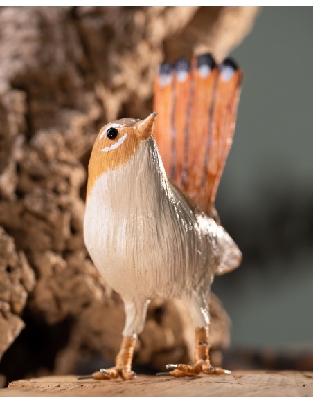 ▷ ALZACOLA ROJIZO (PÁJARO DE PITA) | Soul Natura - Imagen 3