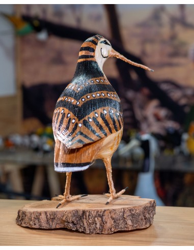 ▷ CHOCHA PERDIZ O BECADA (Scolopax rusticola) Pájaro de PITA | Soul Natura - Imagen 5