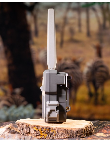 ▷ FLEX SPYPOINT | Soul Natura - Imagen 3