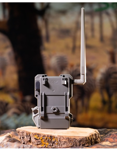 ▷ FLEX SPYPOINT | Soul Natura - Imagen 4