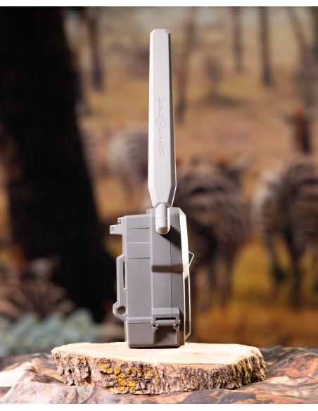 ▷ FLEX SPYPOINT | Soul Natura - Imagen 5