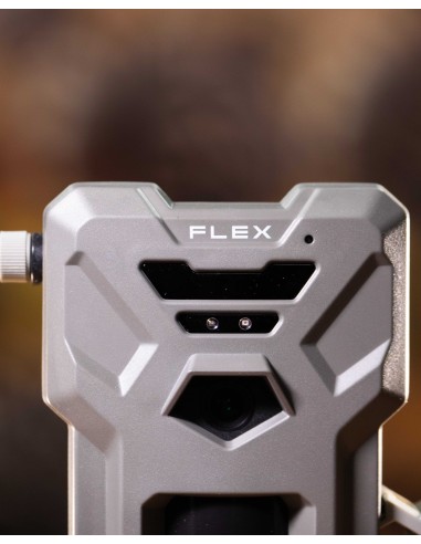 ▷ FLEX SPYPOINT | Soul Natura - Imagen 6