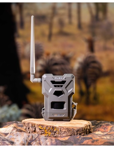 ▷ FLEX SPYPOINT | Soul Natura - Imagen 2