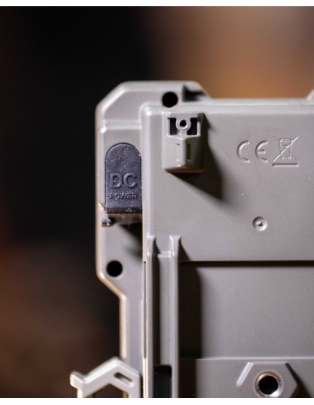 ▷ FLEX SPYPOINT | Soul Natura - Imagen 7