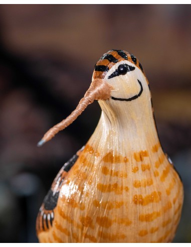 ▷ CHOCHA PERDIZ O BECADA (Scolopax rusticola) Pájaro de PITA | Soul Natura - Imagen 3