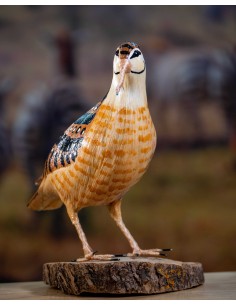 REPLICA CHOCHA PERDIZ O BECADA  - Imagen 2