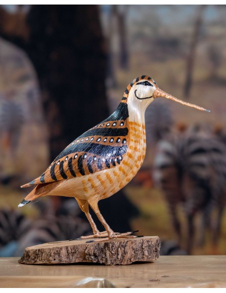 ▷ CHOCHA PERDIZ O BECADA (Scolopax rusticola) Pájaro de PITA | Soul Natura - Imagen 4