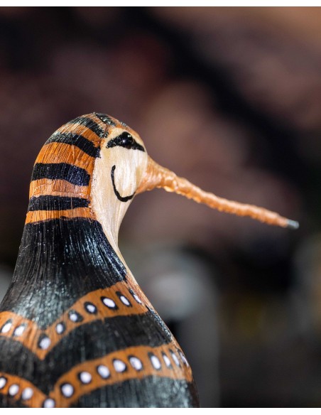 ▷ CHOCHA PERDIZ O BECADA (Scolopax rusticola) Pájaro de PITA | Soul Natura - Imagen 6
